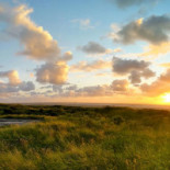 Noderstraun 54 Appartement Op Schiermonnikoog Schiermonnikoog Geverifieerd Außen