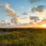 Noderstraun 54 Appartement Op Schiermonnikoog Schiermonnikoog Geverifieerd Exterior