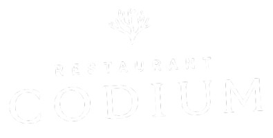 Codium Logo