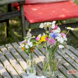 Theetuin De Wilde Framboos Boisson