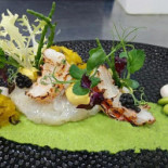 Wildthout Nourriture