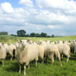 De Vreugdehoeve Extérieur