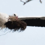 De Vreugdehoeve Exterior