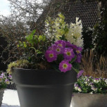 Casa Batavia Bed Breakfast Extérieur