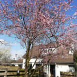 Casa Batavia Bed Breakfast Extérieur