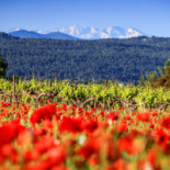 Gavi Wijnkopers Extérieur