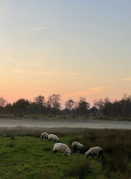 Wollegras Extérieur