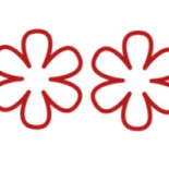 De Groene Lantaarn B.v. Staphorst Logo