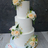 Sam Nel's Taarten Bebida