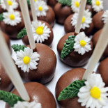 Sam Nel's Taarten Bebida