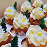 Sam Nel's Taarten Bebida