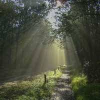 Herberg Van Wapse Exterior