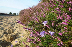 Herberg Van Wapse Extérieur