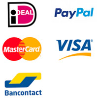 Brinkzicht Vledder Logo