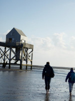 Lauwersoog Horeca B.v. Lauwersoog drink