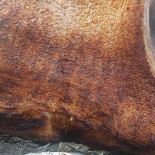 Tastypresent Chocotelegram Bebida