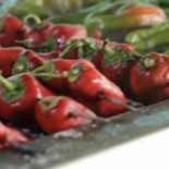 Bazam Grillmeesters Comida