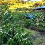 Café Nostra Extérieur