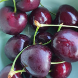 De Kersen-hoeve Boisson