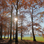 De Kersen-hoeve Extérieur