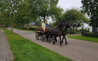 De Soester Duinen outside