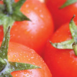 Multifood B.v. Nourriture