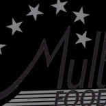 Multifood B.v. Logo