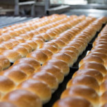 Bakker Schat B.v. Nourriture