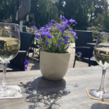 ChineesIndisch Peking Extérieur