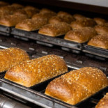 Bakker Schat B.v. Nourriture