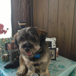 Stoer Lekker Baarn Dentro