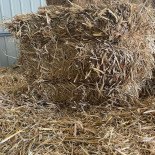 L'atelier De Marius Boisson