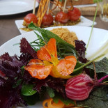 Park Café Nourriture