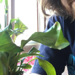 Lunchcafe Waterloo Bebida