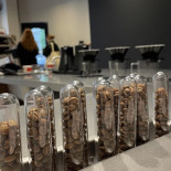 Elevate Coffee Lab Boisson