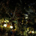 Cafe Welling Extérieur