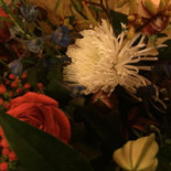 Cafe Welling Boisson