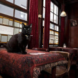 Café Hegeraad Dentro