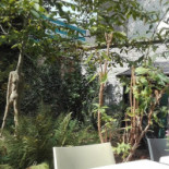 De Appelier Exterior