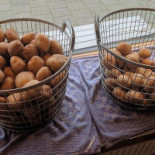 Friet Van Oost Boisson