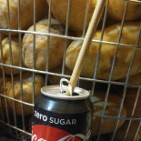 Friet Van Oost Boisson