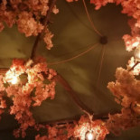 Prince À l'intérieur