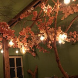 Prince À l'intérieur