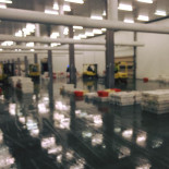 Seafood Ad Rik's Dentro