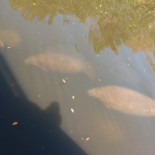 De Kade Café Boisson