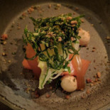 Allegro Moderato Nourriture