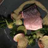 Allegro Moderato Nourriture