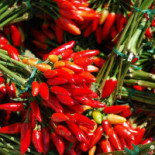 Ciao Bella Italia Bebida