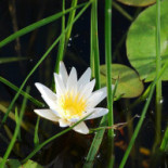 Ciao Bella Italia Bebida