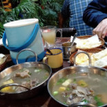 Parakeet Amsterdam Boisson